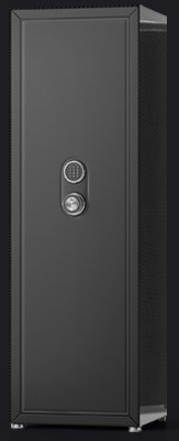 Сейф Agartis Carbon I