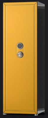 Сейф Agartis Carbon I