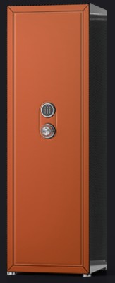 Сейф Agartis Carbon I