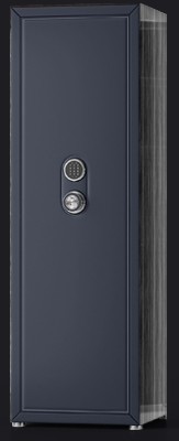 Сейф Agartis Capella I