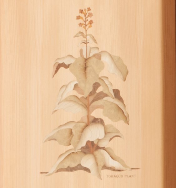 Buben-Zorweg GRAND CONNOISSEUR XL. Система хранения сигар. Хьюмидор. 